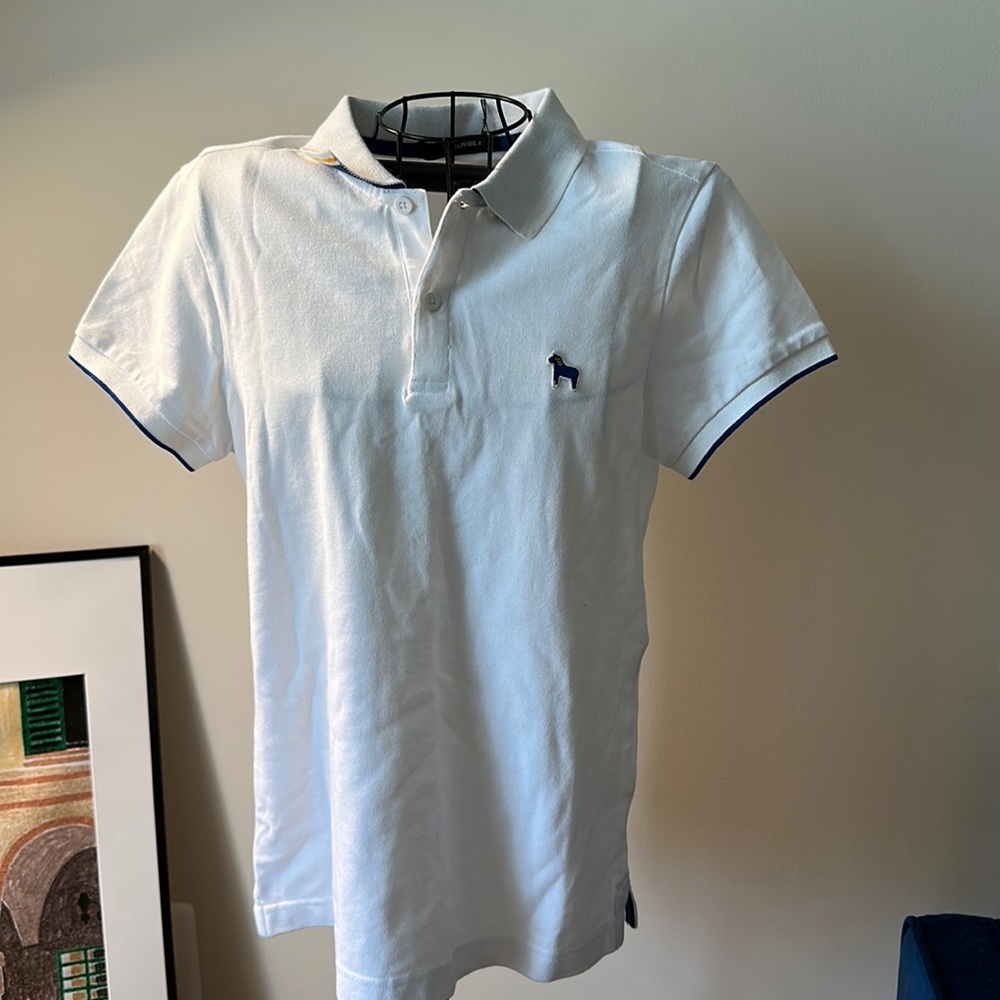 Blue horse polo